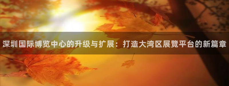 果博有假吗：深圳国际博览中心的升级与扩展