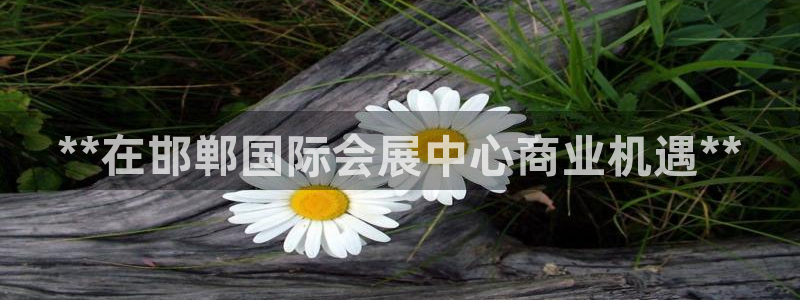 果博注册平台怎么注册账号：**在邯郸国际