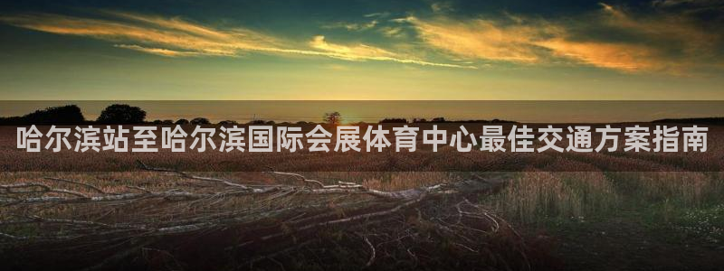 果博代理网：哈尔滨站至哈尔滨国际会展体育