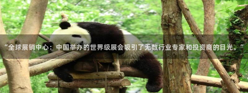 果博环保官网：“全球展销中心：中国举办的