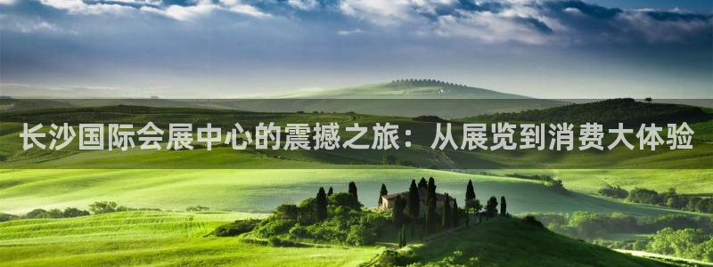 果博代理怎么注册：长沙国际会展中心的震撼