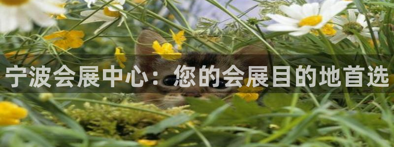 果博客服电话多少：宁波会展中心：您的会展