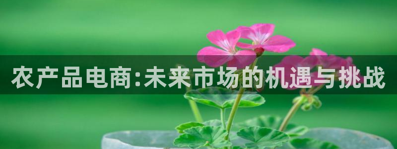 果博平台真实吗知乎怎么样：农产品电商:未