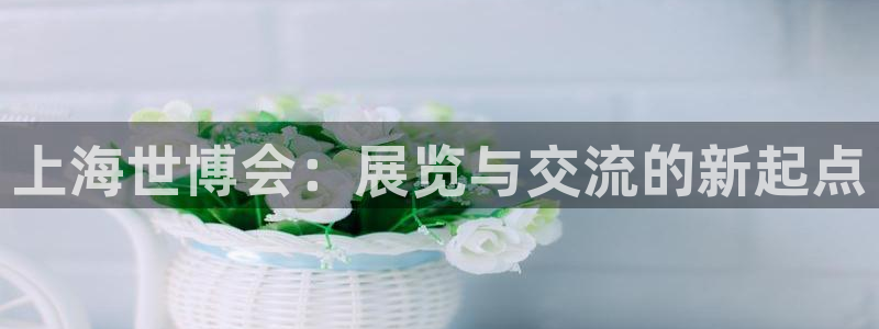 果博公司：上海世博会：展览与交流的新起点