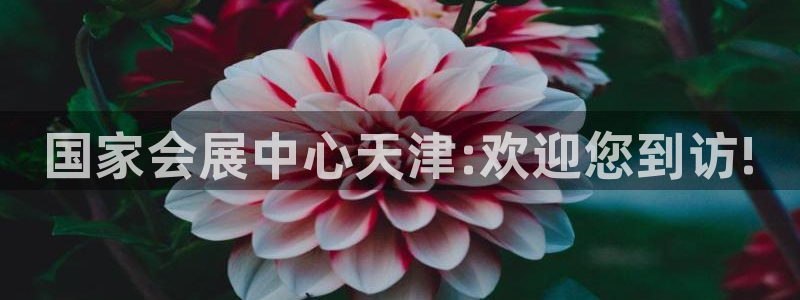 果博注册充值多少钱：国家会展中心天津:欢